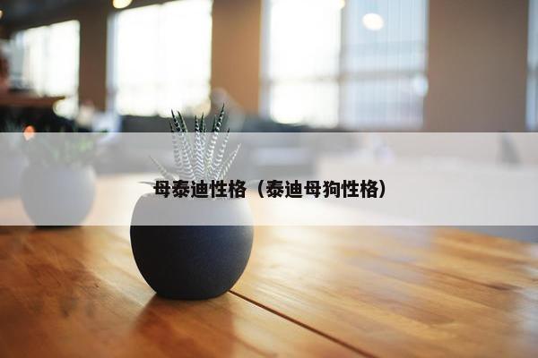 母泰迪性格（泰迪母狗性格）