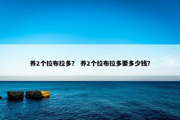 养2个拉布拉多？ 养2个拉布拉多要多少钱？