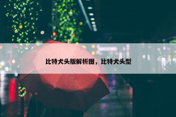 比特犬头版解析图，比特犬头型