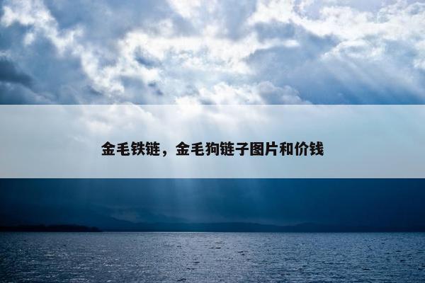 金毛铁链，金毛狗链子图片和价钱