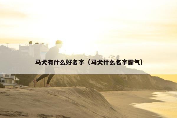 马犬有什么好名字（马犬什么名字霸气）