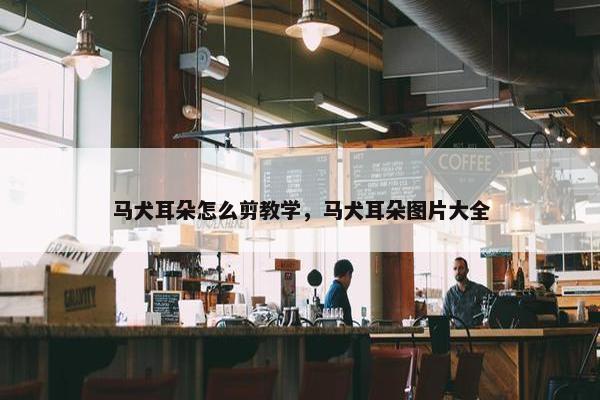 马犬耳朵怎么剪教学，马犬耳朵图片大全