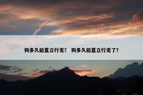 狗多久能直立行走？ 狗多久能直立行走了？