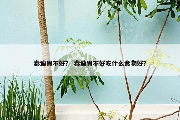 泰迪胃不好？ 泰迪胃不好吃什么食物好？