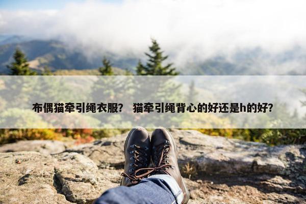 布偶猫牵引绳衣服？ 猫牵引绳背心的好还是h的好？