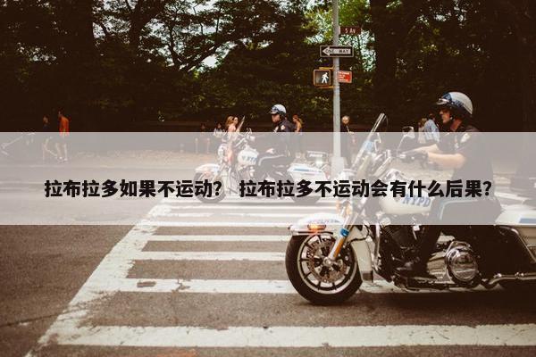 拉布拉多如果不运动？ 拉布拉多不运动会有什么后果？