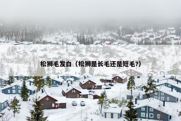 松狮毛发白（松狮是长毛还是短毛?）