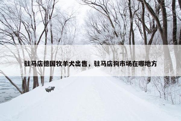 驻马店德国牧羊犬出售，驻马店狗市场在哪地方