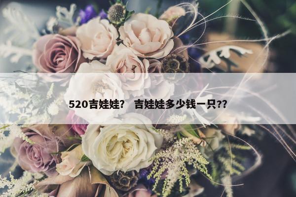 520吉娃娃？ 吉娃娃多少钱一只?？