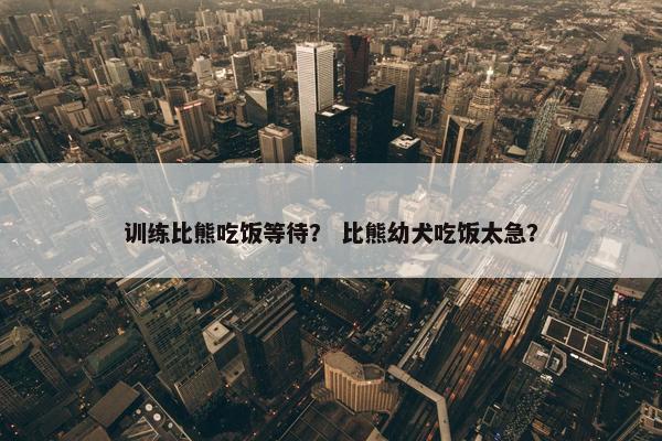 训练比熊吃饭等待？ 比熊幼犬吃饭太急？