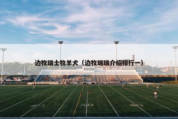 边牧瑞士牧羊犬（边牧瑞瑞介绍排行一）