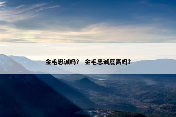金毛忠诚吗？ 金毛忠诚度高吗？