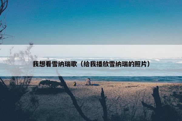 我想看雪纳瑞歌（给我播放雪纳瑞的照片）
