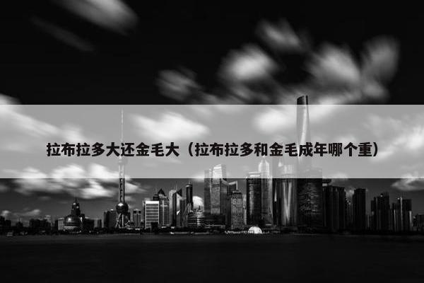 拉布拉多大还金毛大（拉布拉多和金毛成年哪个重）