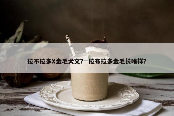 拉不拉多X金毛犬文？ 拉布拉多金毛长啥样？