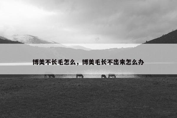 博美不长毛怎么，博美毛长不出来怎么办