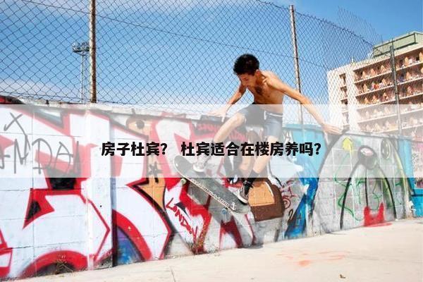 房子杜宾？ 杜宾适合在楼房养吗？