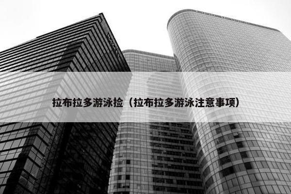 拉布拉多游泳捡（拉布拉多游泳注意事项）