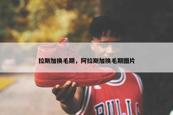 拉斯加换毛期，阿拉斯加换毛期图片