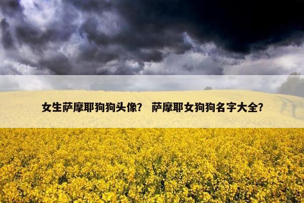 女生萨摩耶狗狗头像？ 萨摩耶女狗狗名字大全？