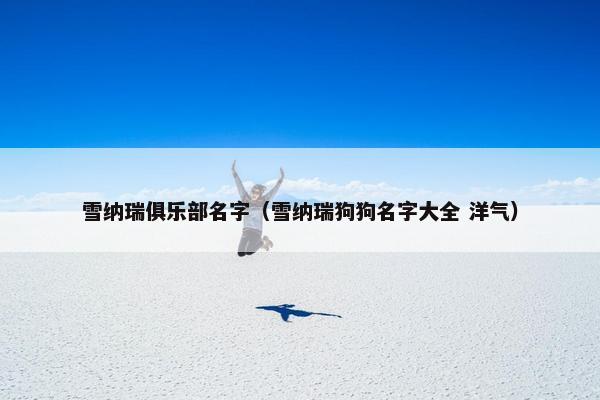 雪纳瑞俱乐部名字（雪纳瑞狗狗名字大全 洋气）