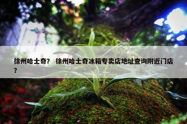 徐州哈士奇？ 徐州哈士奇冰箱专卖店地址查询附近门店？