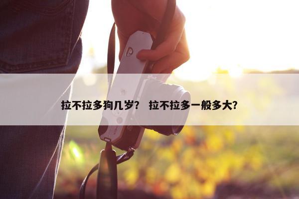拉不拉多狗几岁？ 拉不拉多一般多大？