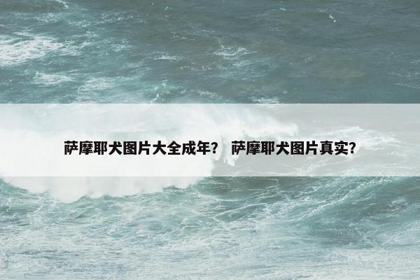 萨摩耶犬图片大全成年？ 萨摩耶犬图片真实？