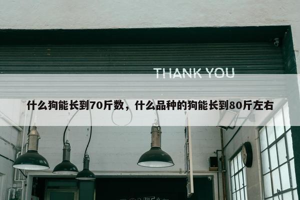 什么狗能长到70斤数，什么品种的狗能长到80斤左右