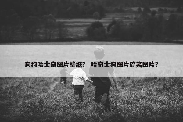 狗狗哈士奇图片壁纸？ 哈奇士狗图片搞笑图片？