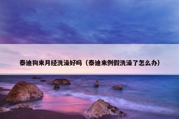 泰迪狗来月经洗澡好吗（泰迪来例假洗澡了怎么办）