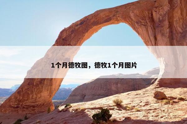 1个月德牧图，德牧1个月图片
