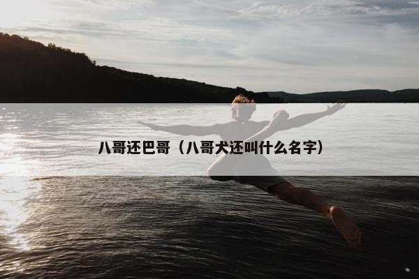 八哥还巴哥（八哥犬还叫什么名字）