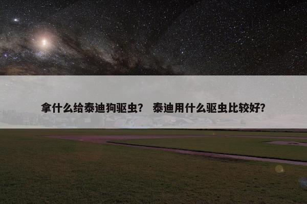 拿什么给泰迪狗驱虫？ 泰迪用什么驱虫比较好？