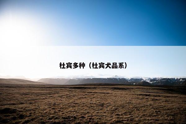 杜宾多种（杜宾犬品系）
