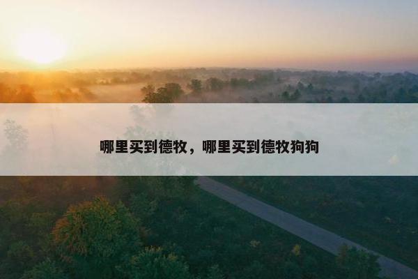 哪里买到德牧，哪里买到德牧狗狗