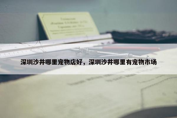 深圳沙井哪里宠物店好，深圳沙井哪里有宠物市场