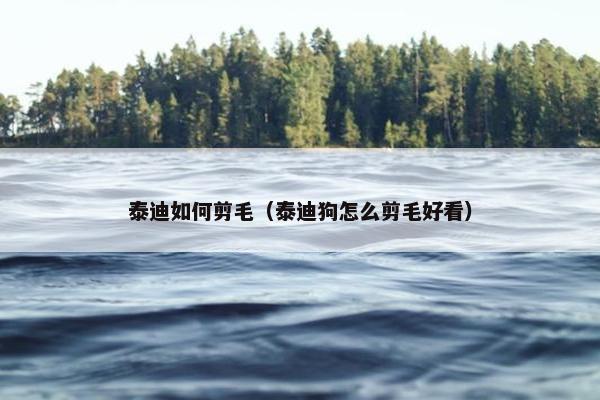 泰迪如何剪毛（泰迪狗怎么剪毛好看）