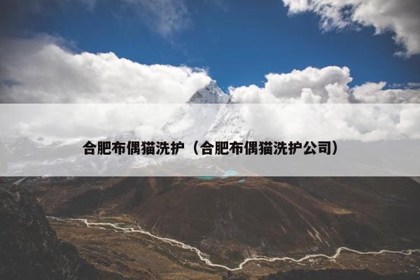 合肥布偶猫洗护（合肥布偶猫洗护公司）