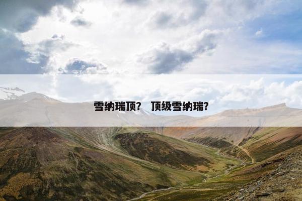 雪纳瑞顶？ 顶级雪纳瑞？