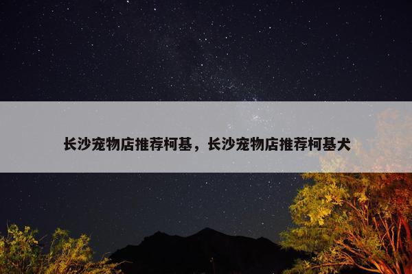 长沙宠物店推荐柯基，长沙宠物店推荐柯基犬