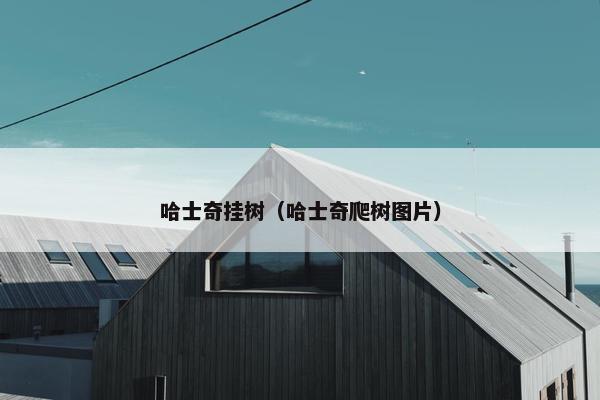 哈士奇挂树（哈士奇爬树图片）