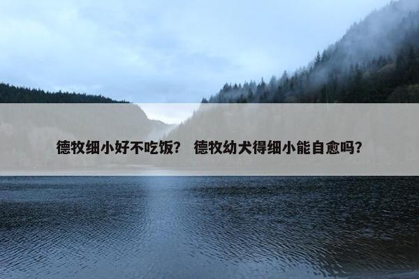 德牧细小好不吃饭？ 德牧幼犬得细小能自愈吗？