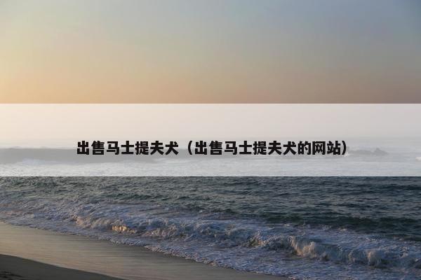 出售马士提夫犬（出售马士提夫犬的网站）