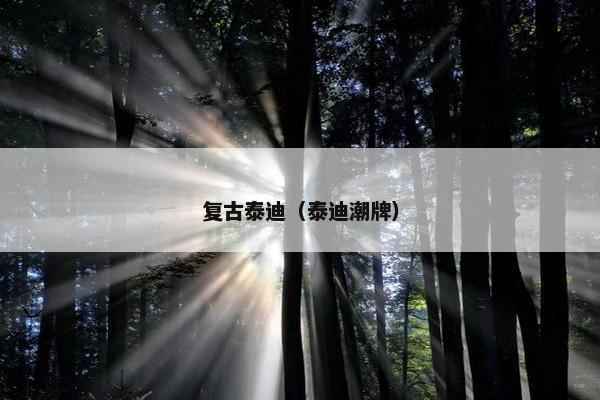 复古泰迪（泰迪潮牌）
