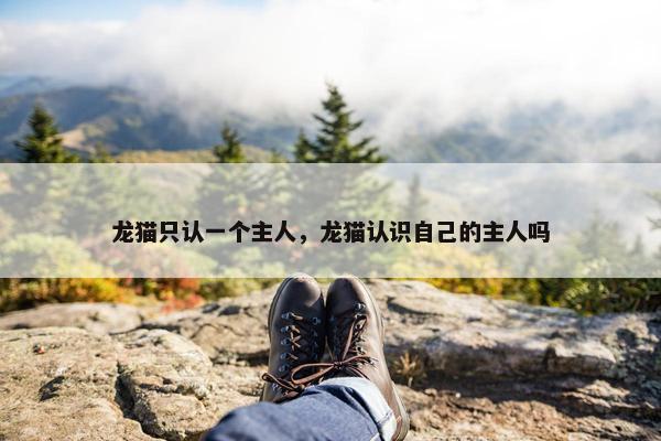 龙猫只认一个主人，龙猫认识自己的主人吗