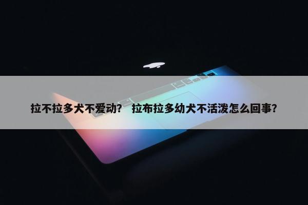 拉不拉多犬不爱动？ 拉布拉多幼犬不活泼怎么回事？