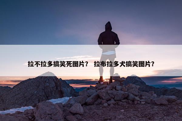 拉不拉多搞笑死图片？ 拉布拉多犬搞笑图片？
