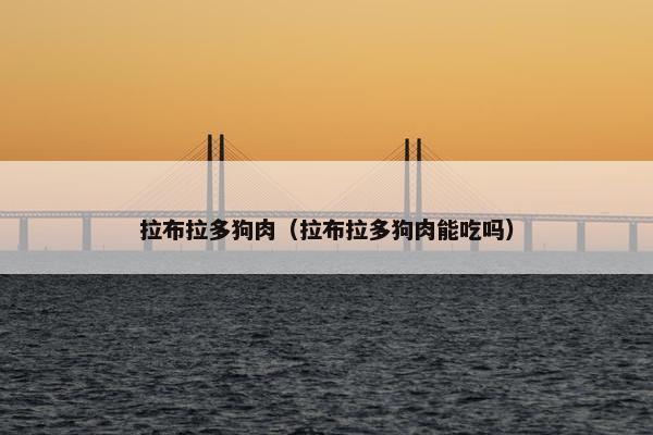 拉布拉多狗肉（拉布拉多狗肉能吃吗）