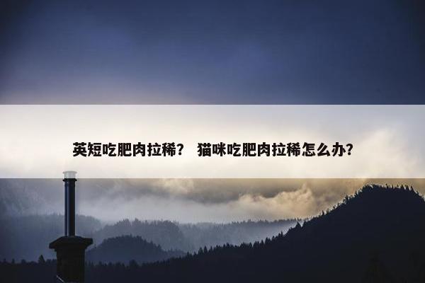 英短吃肥肉拉稀？ 猫咪吃肥肉拉稀怎么办？